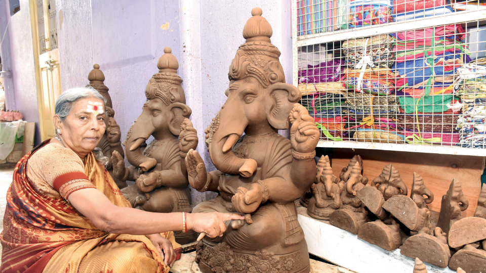 Use eco-friendly clay Ganesha idols: Additional DC