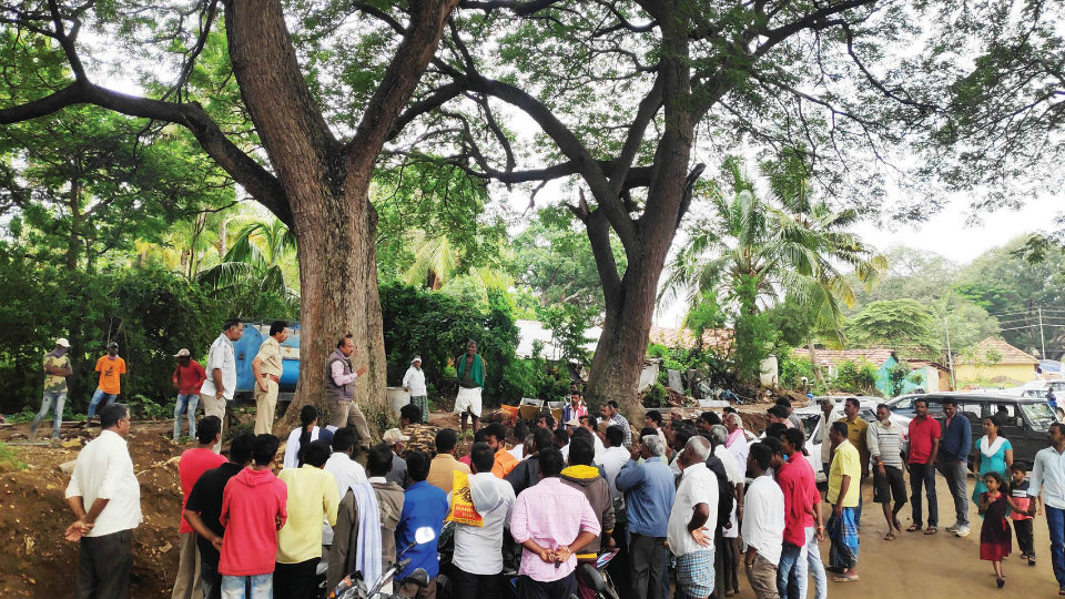 14 century-old trees to be axed for Chunchanakatte Jalapathotsava