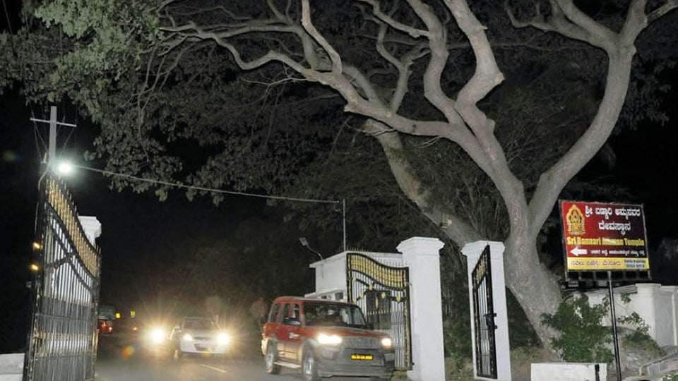 Suspected terror attack: Entry to Chamundi Hill during night banned