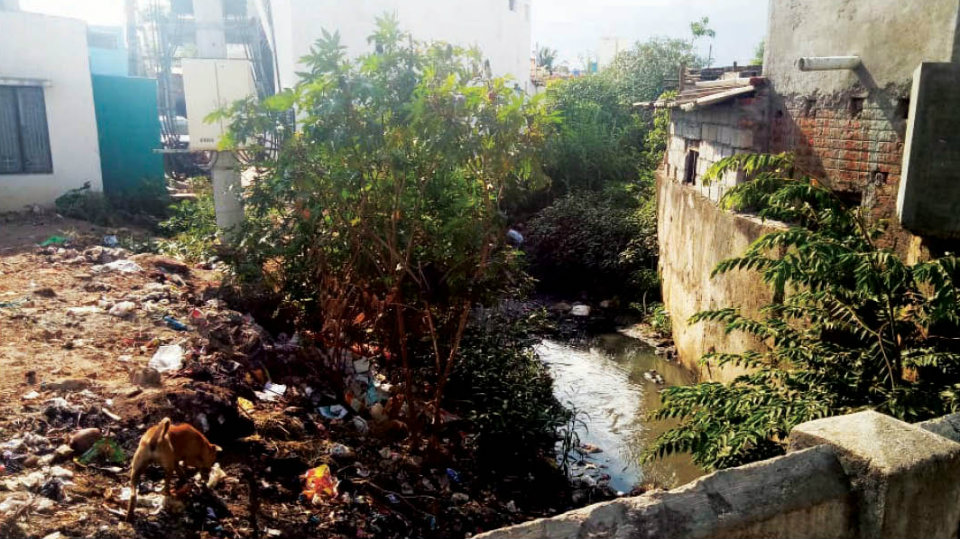 Blocked sewage drain needs to be cleared in Satyanagar