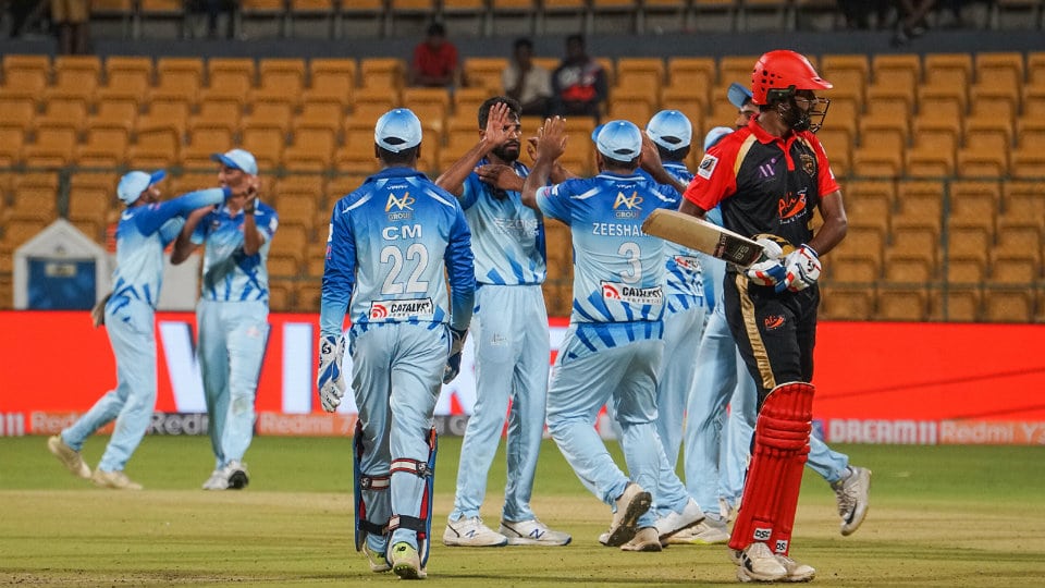 Karnataka Premier League 2019: Tuskers hold on to edge out Panthers