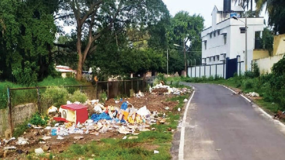 Clear the garbage dumped behind Gurudwar