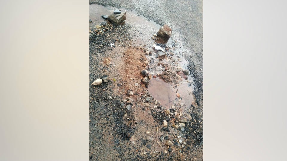 Damaged water pipe needs to be repaired at Chamundi Vihar Layout