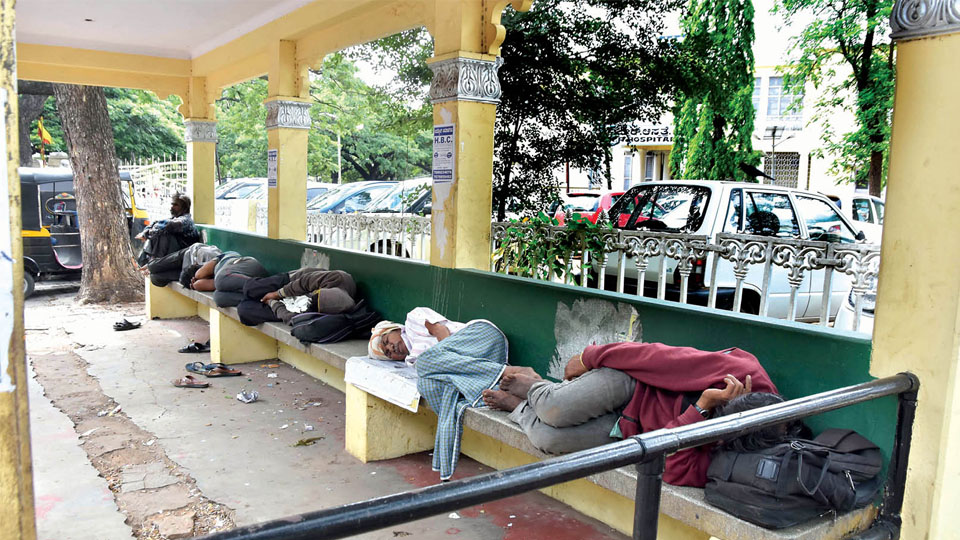 Bus shelter turns into nap-pad