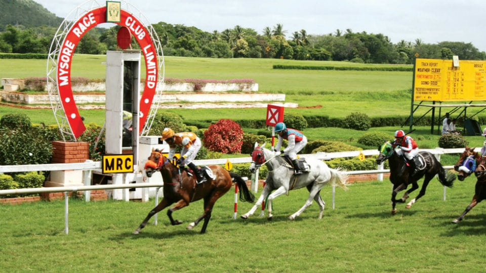 Mysore Races cancelled