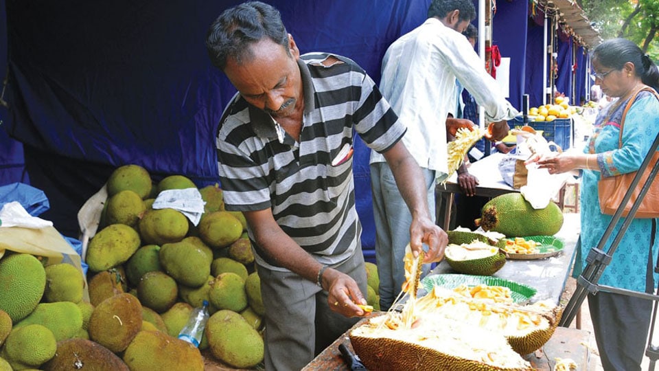 Satiate your sweet tooth this weekend: Two-day Jackfruit Mela in city from tomorrow