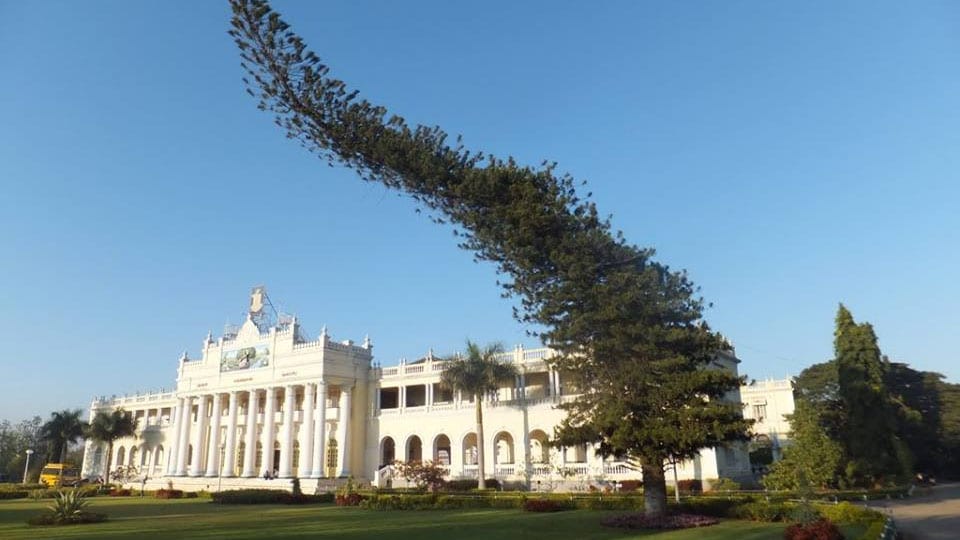 Mysore University starts online classes