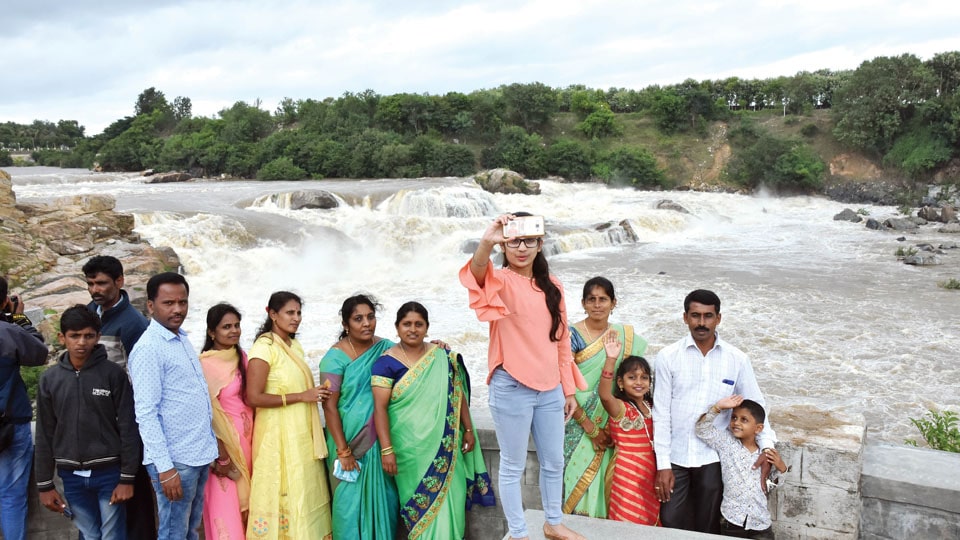 Water or Milk foam? : Dhanushkoti waterfall at Chunchanakatte in K.R. Nagar beckons tourists