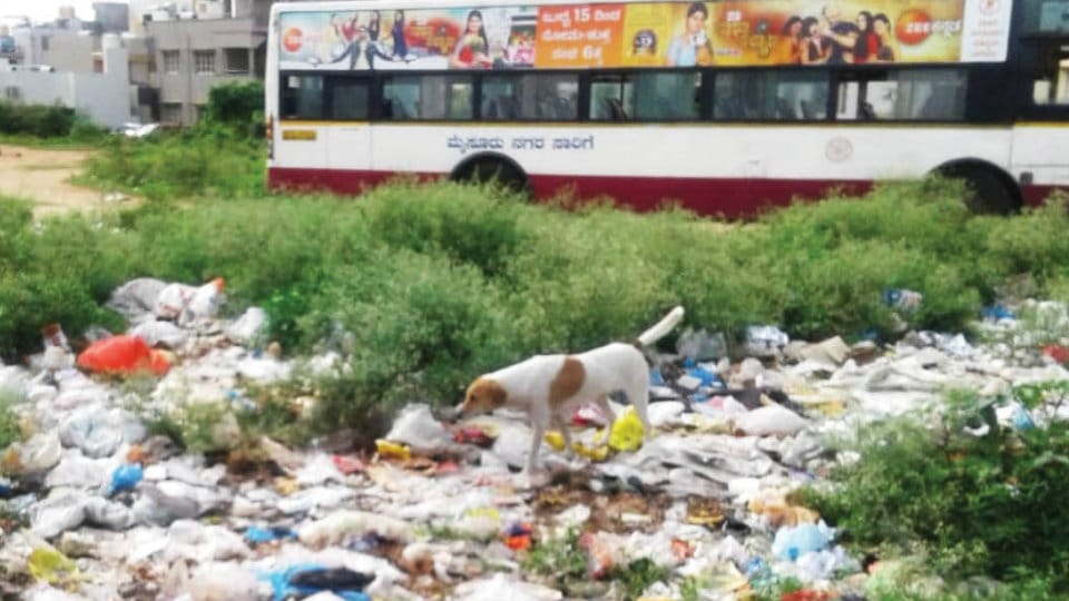 Plea to clear garbage in Kanakadasanagar