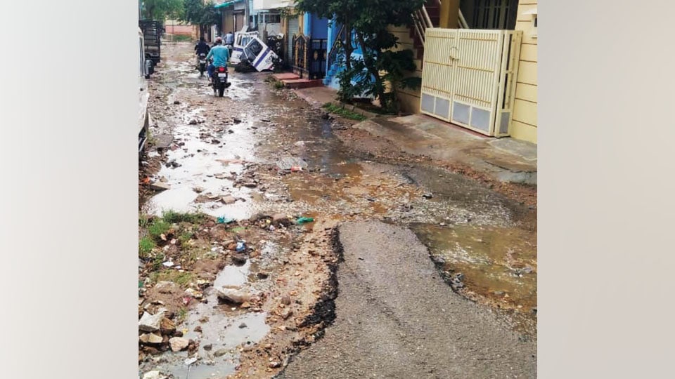 Will this Road in Udayagiri be asphalted?