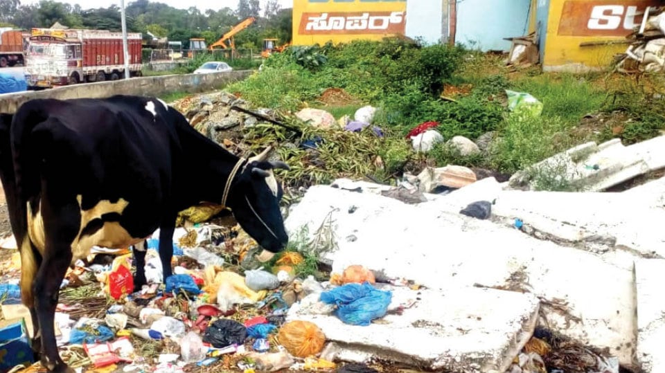 Need for a garbage bin at Bhyraweshwaranagar