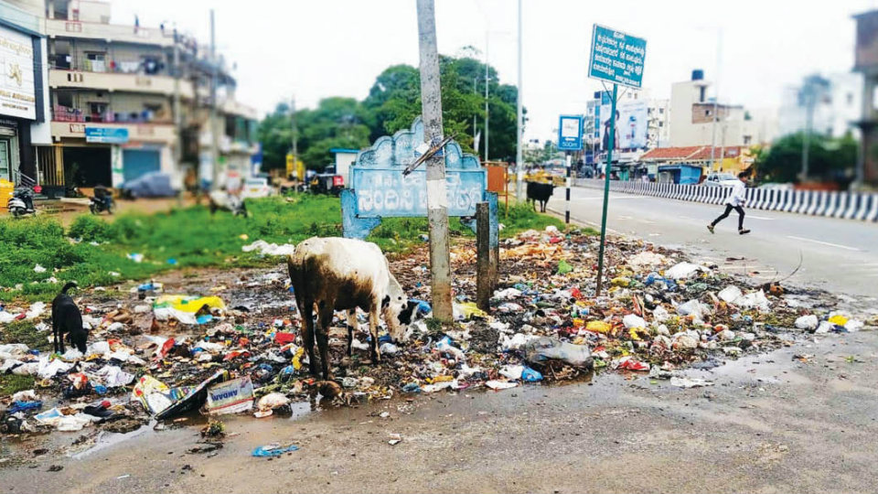 Plea to clear stinking garbage pile on T. Narasipur Main Road