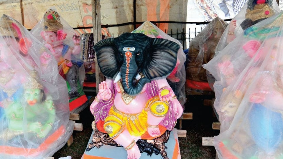 Plaster of Paris Ganesha idols sold despite ban