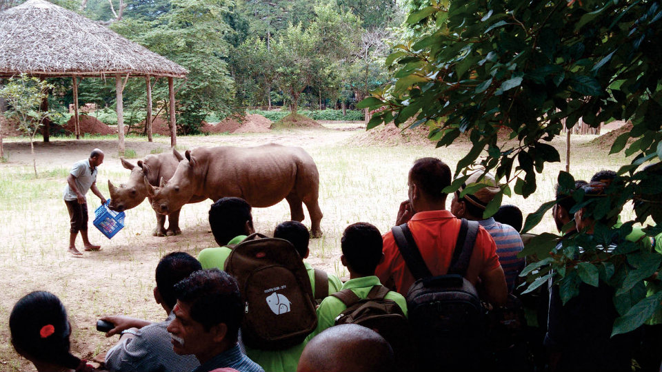 World Rhino Day at Mysuru Zoo