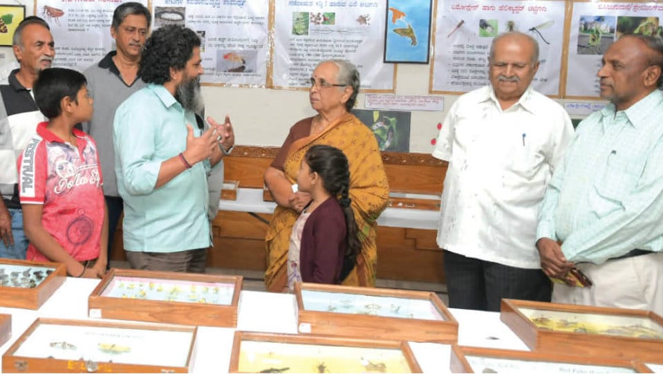 Tejaswi’s big bug expo: Beetles make a rare appearance