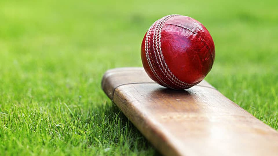 Cricket: Karnataka teams on a winning spree