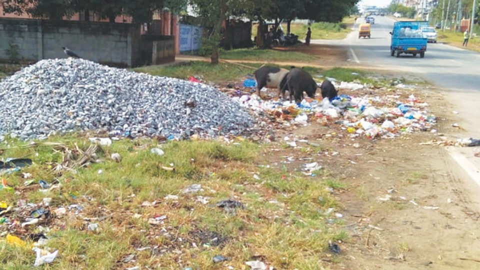 Garbage menace in Lakshmipuram