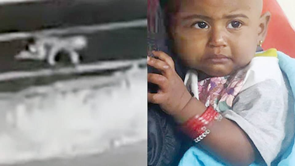 One-year-old falls off jeep in Kerala forest; crawls to safety