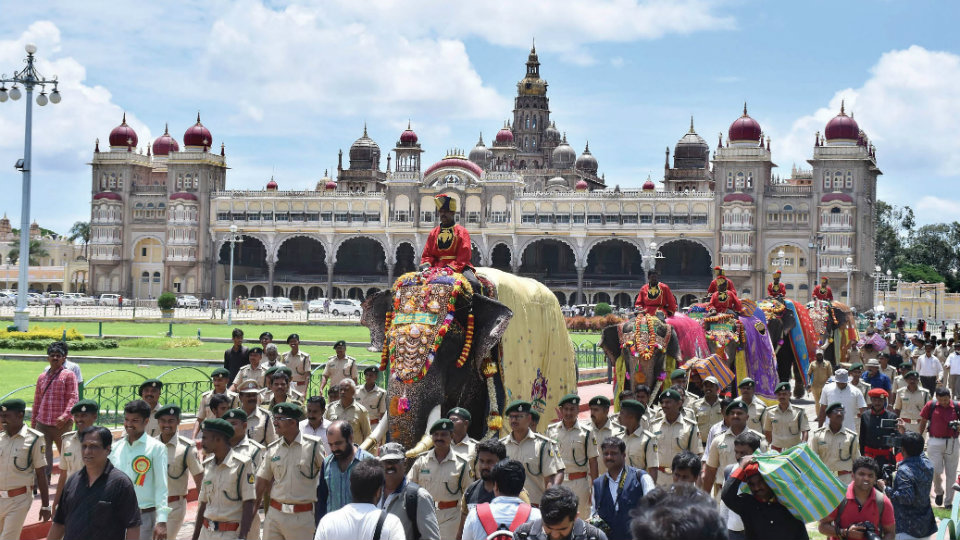 Second batch of Dasara elephants to arrive at Palace premises tomorrow