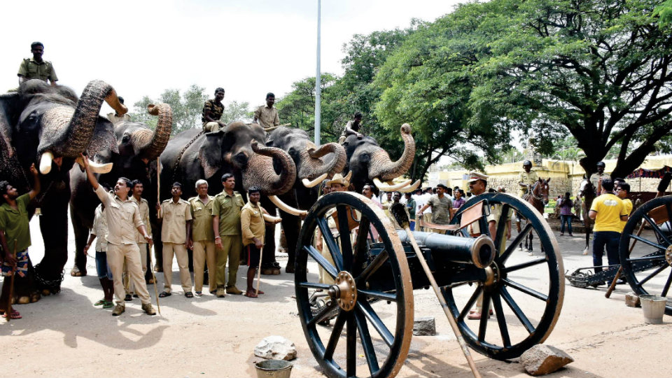 Cannon firing test for Dasara Jumbos at Mysore Palace