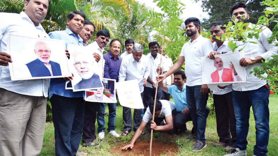 Saplings planted to mark PM Modi’s birthday