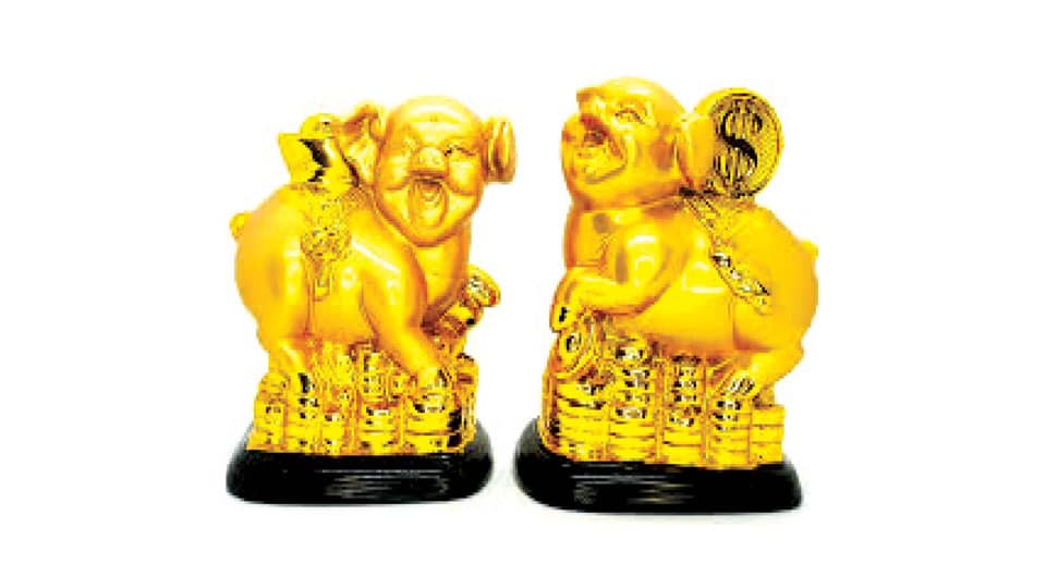 Golden Pigs bring home  Prosperity & Happiness