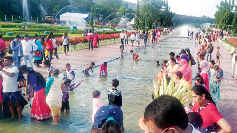 Fountain Frolicking: Ponds of Brindavan Gardens turn into swimming pools