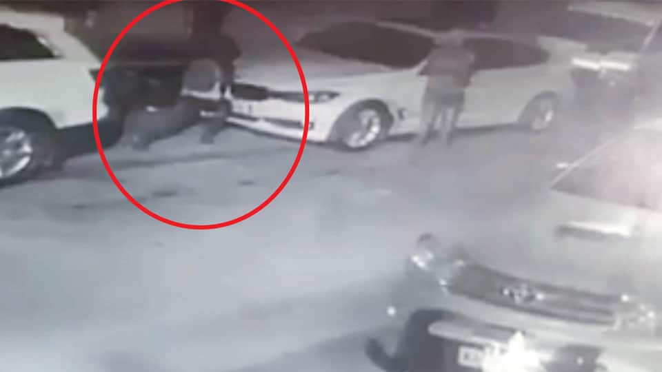 Beware! Car logo thieves are on the prowl in city