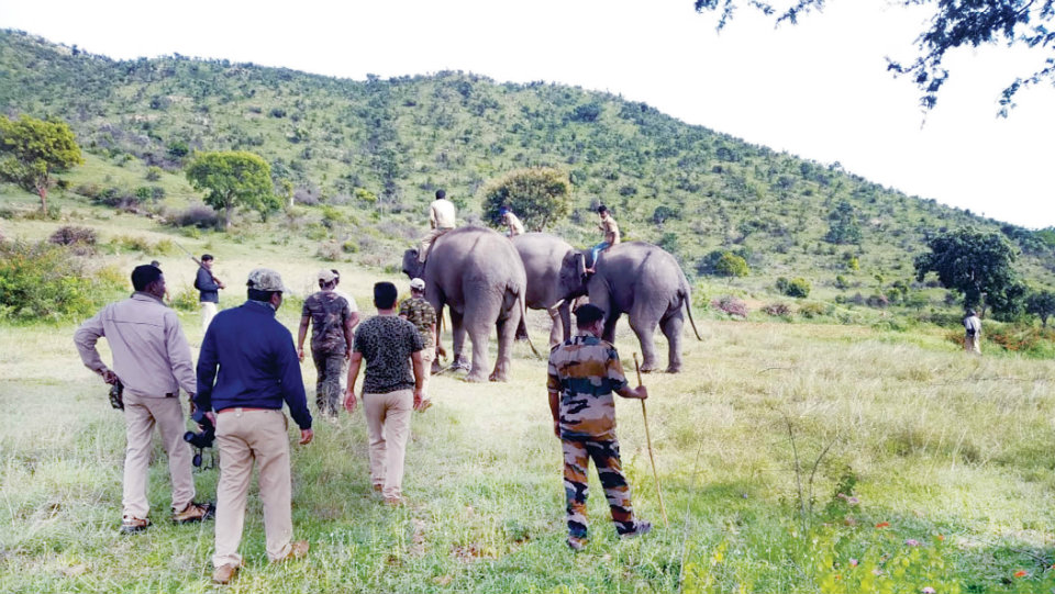 Ex-Army men will join forest crusaders at Bandipur