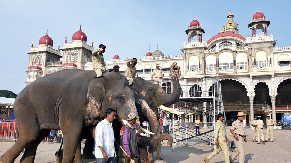 Final rehearsal for Jumboo Savari held