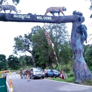 Balance must between people and wildlife