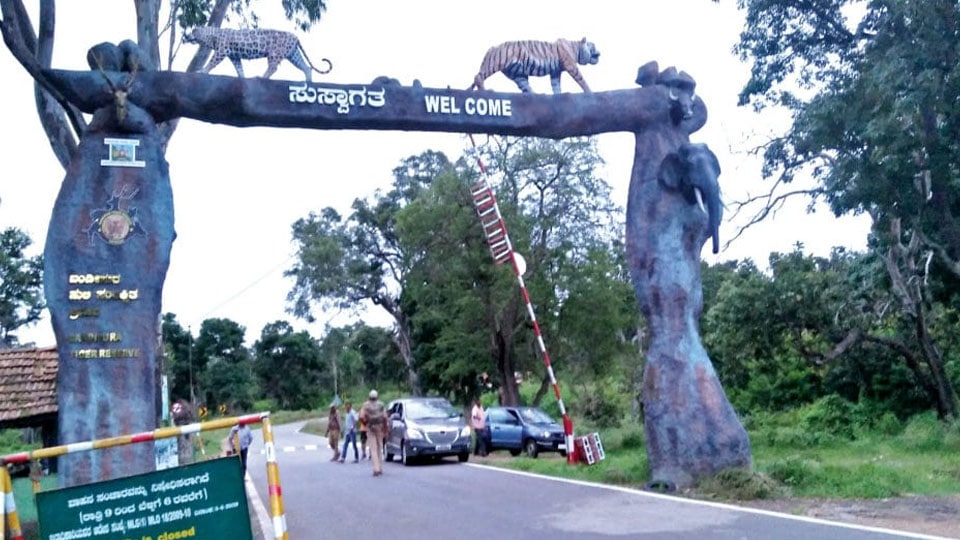 Safari, camera fee hike at Bandipur, Nagarahole draws flak