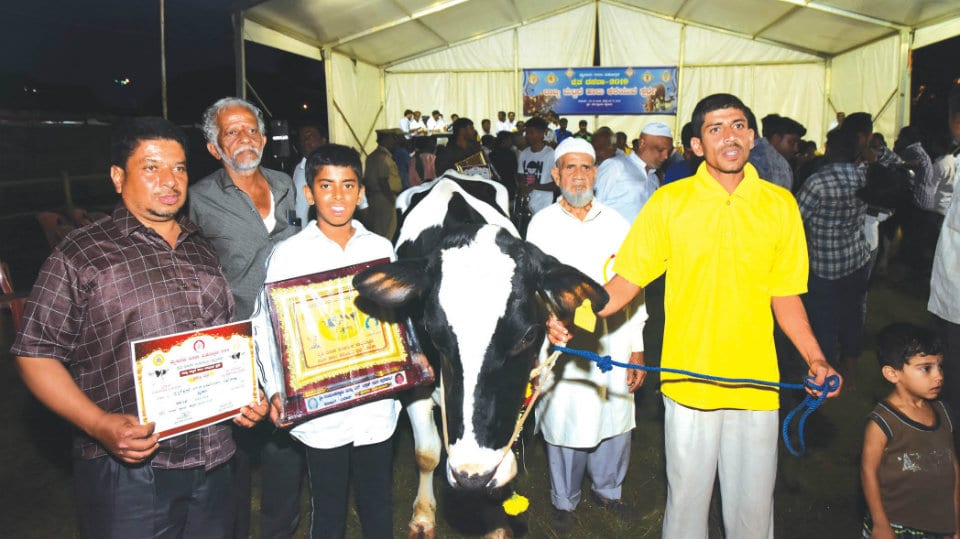 City cow yields 35.650 kg milk, walks away with first prize