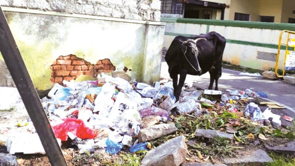 Plea to clear garbage behind Ittigegud Post Office