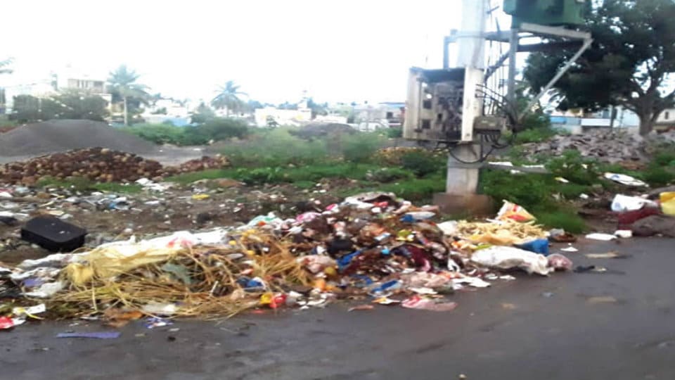 Clear garbage heap on Indira Gandhi Road in K.N. Pura