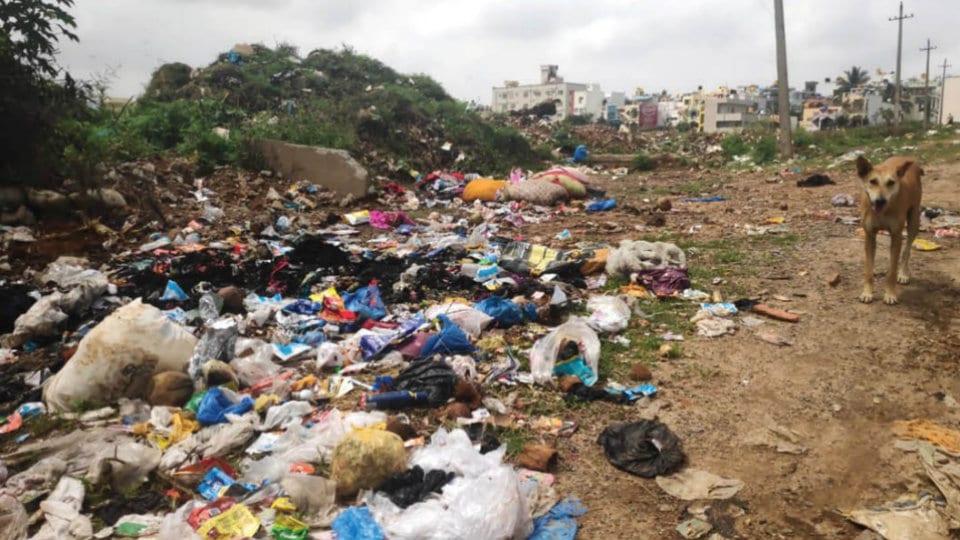 Indiscriminate garbage dumping at Sathagalli Extension