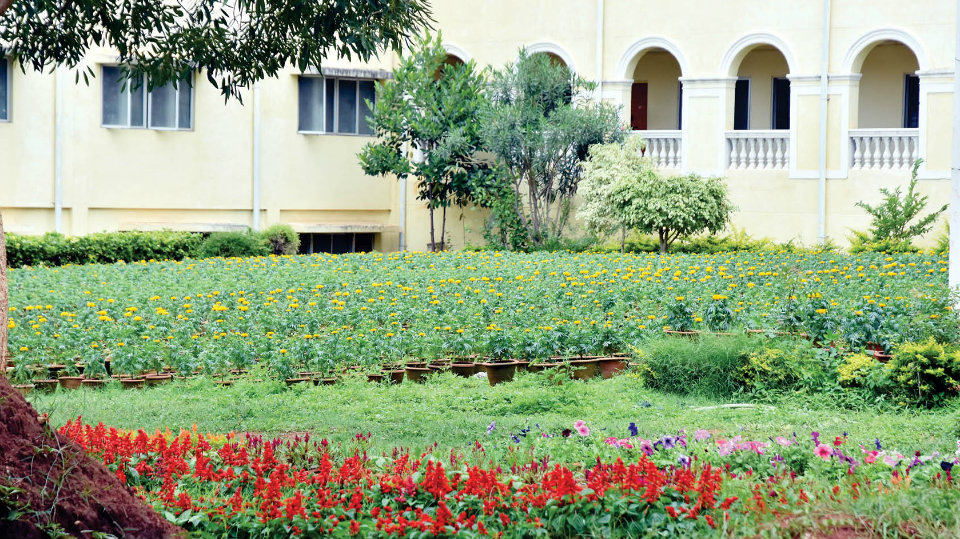 Mysore University bags first prize in Best Ornamental Garden contest