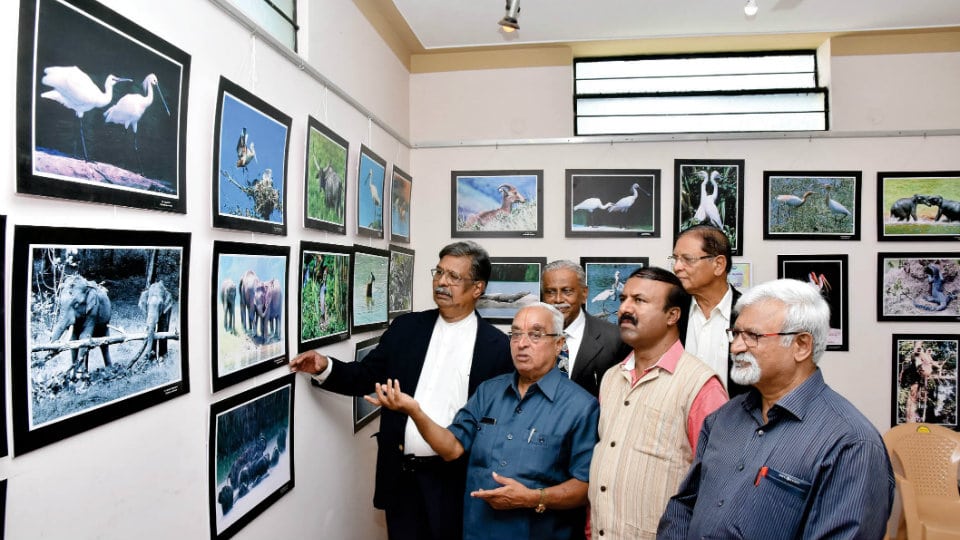 Wildlife photo expo at Bharani