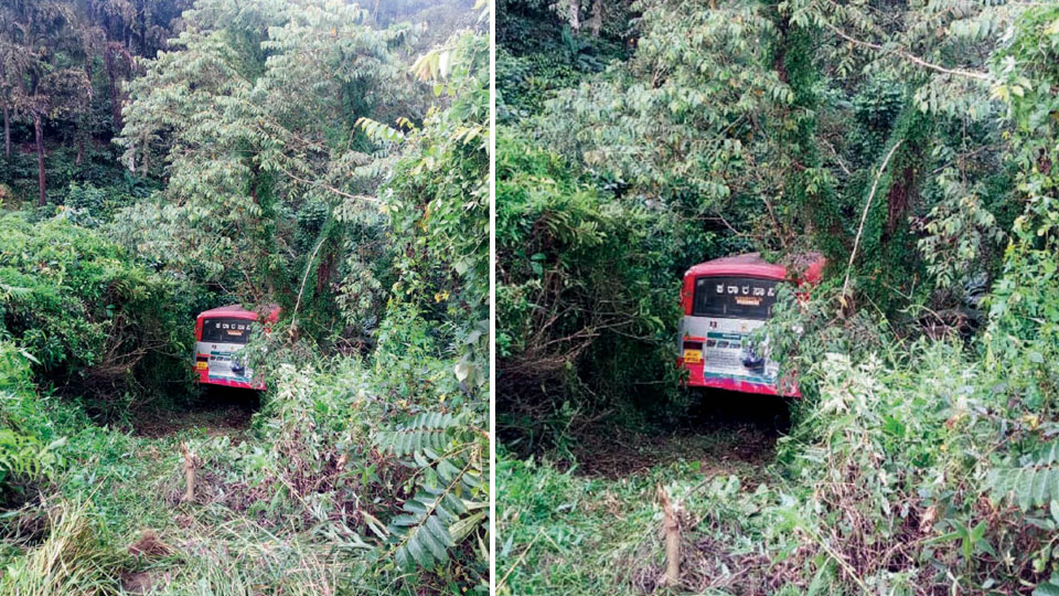Close shave for passengers as bus veers into 50 ft. gorge