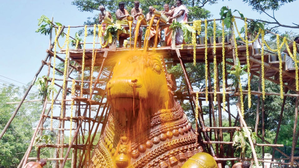 Mahabhishekha to Nandi Statue