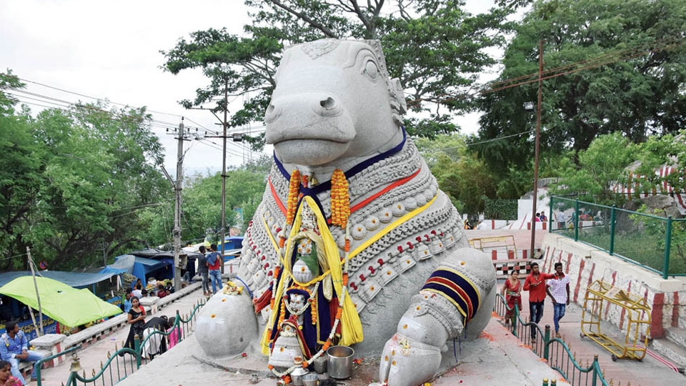 Mahabhisheka to Nandi Statue tomorrow