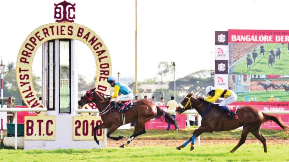 Discontinue Bangalore Turf Club races from Dec 2: PAC