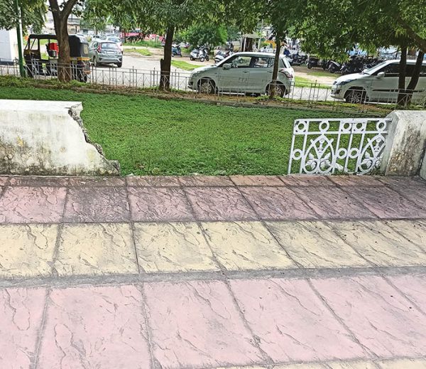 An Apology Of A Fence - Star Of Mysore