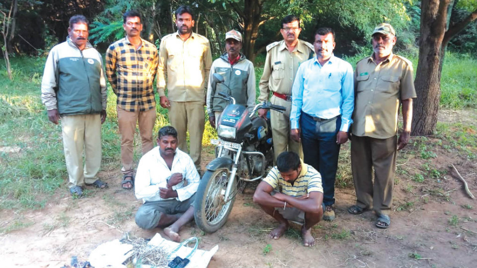 Two bird hunters arrested at Ranganathittu Bird Sanctuary