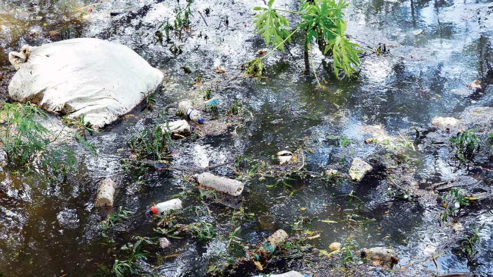 Residents break mesh; plastic waste flows into Lake
