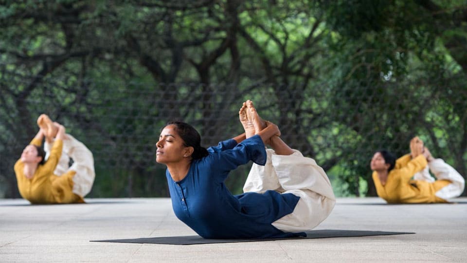 Isha Hatha Yoga classes in city from Nov.20