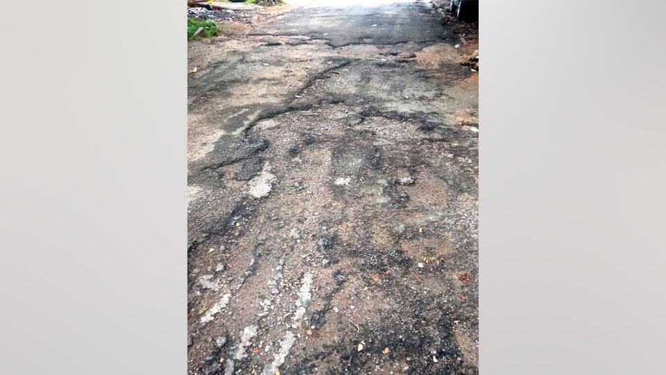 Will this road in V.V. Mohalla be repaired?