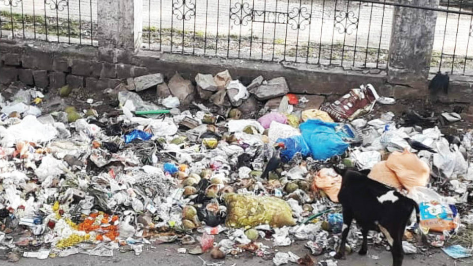 Plea to clear garbage at   Lashkar Mohalla