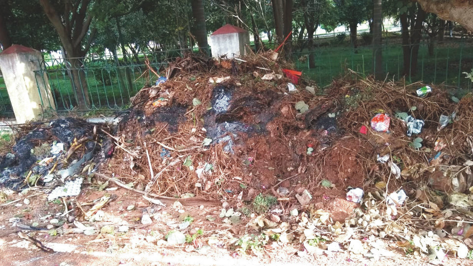 Plea to clear garbage heap dumped in J.P. Nagar
