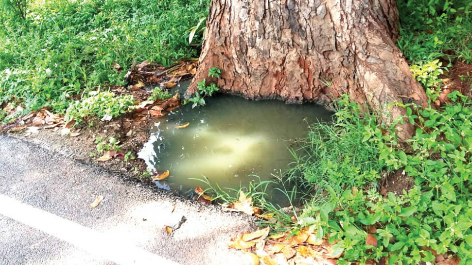 Gaping manhole posing danger in Kuvempunagar